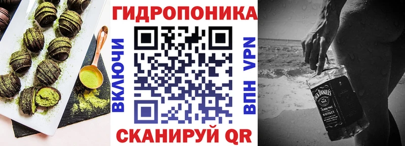 площадка наркотические препараты  Высоцк  Cannafood конопля 