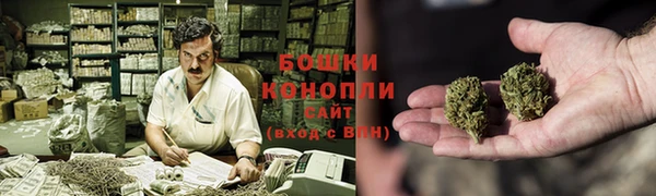 шишки Беломорск