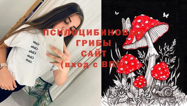 шишки Беломорск