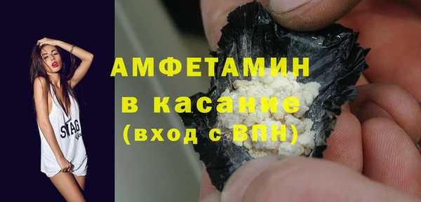шишки Беломорск
