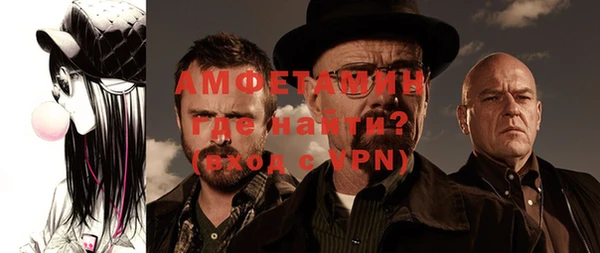 шишки Беломорск
