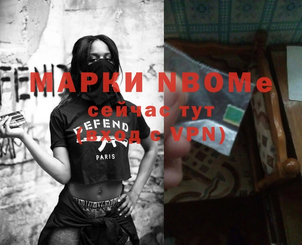 шишки Беломорск