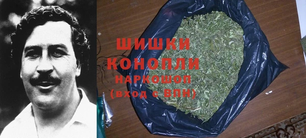 шишки Беломорск