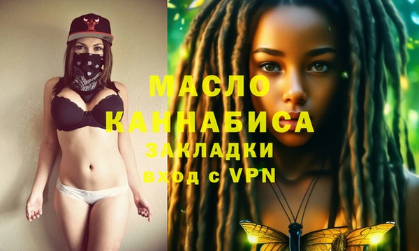 дмт Инсар