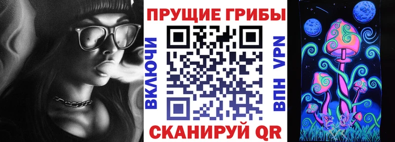 ссылка на мегу ТОР  Высоцк  Галлюциногенные грибы Magic Shrooms 